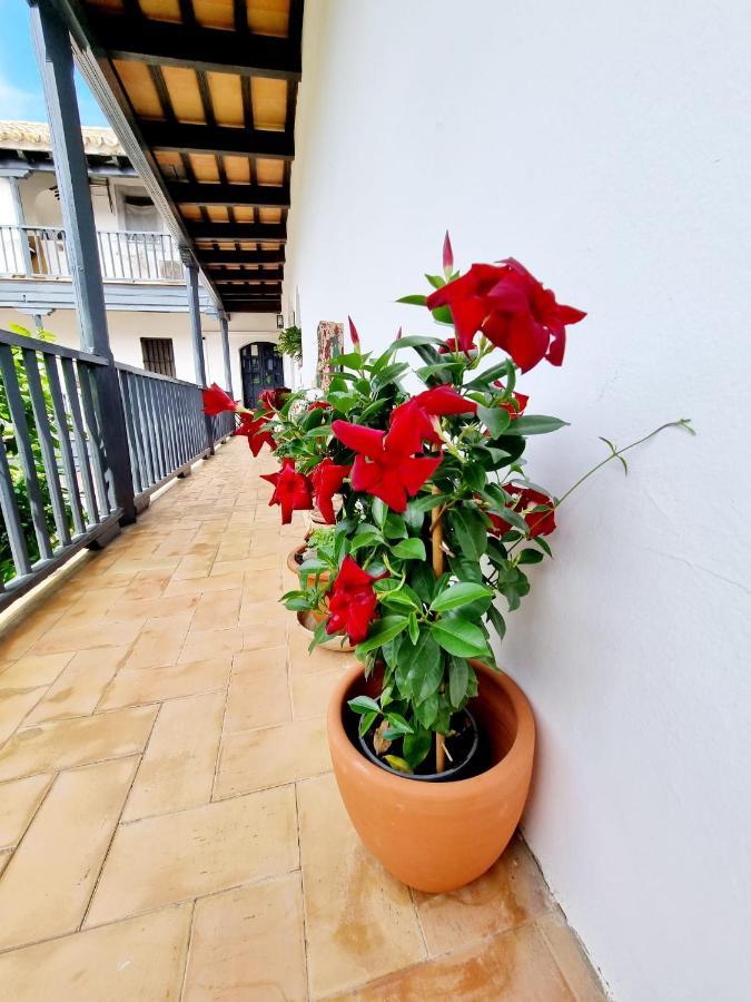 Appartement Con Patio Sevillano Sevilla